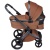 Коляска 2 в 1 Anex l/type (lt-11t) Hazel с аксессуарами