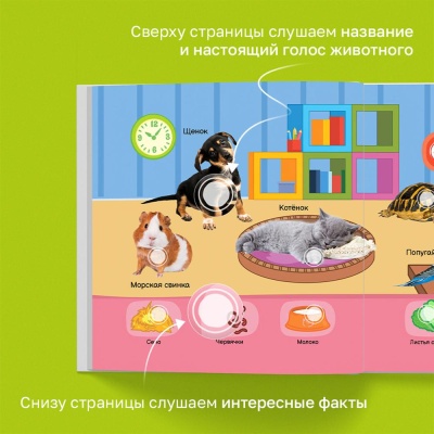 Интерактивная книга Маленькая Нажималка Всё о животных BertToys FD152