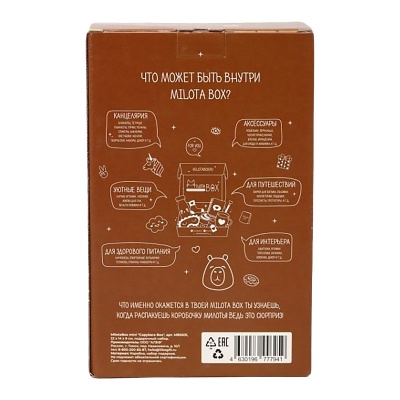 Подарочный набор MilotaBox mini Capybara Box iLikeGift MBS031