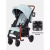 Коляска прогулочная Rant Vega RA057 Blue