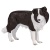 Фигурка Бордер-колли Konik AMF1059 Фигурка Бордер-колли Konik AMF1059