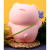 Копилка детская Pig carrot bag iLikeGift BB2274-1B