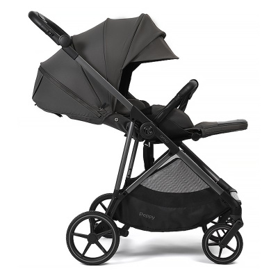 Прогулочная коляска Peppy Amici Antrazit рама Grey