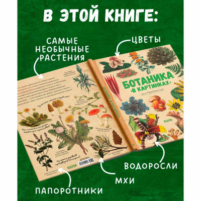 Энциклопедия Ботаника в картинках Clever 3