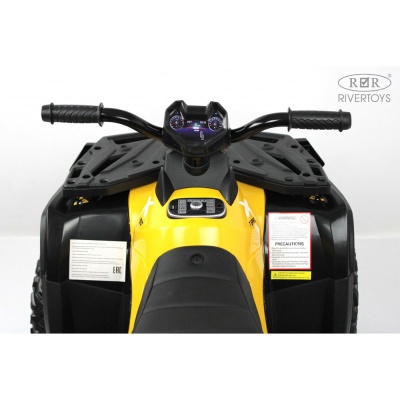 Детский электроквадроцикл 4WD RiverToys T001TT зеленый