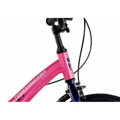 Велосипед детский Maxiscoo Jazz Стандарт 18 MSC-J1842 розовый сапфир 05