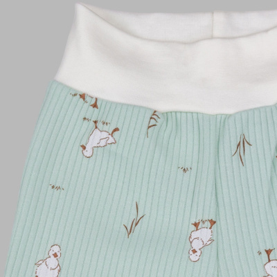 Штанишки Утята Чуди Кидс 587125К-34 ментол 02