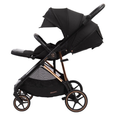 Прогулочная коляска Peppy Amici Black рама Gold (LX) 05