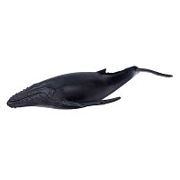 Фигурка Горбатый кит Konik AMS3006