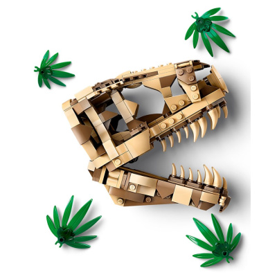 Конструктор Lego Jurassic World 76964 Окаменелости динозавров: череп Ти-Рекса 02