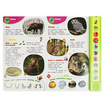 Книга интерактивная озвученная Лесные жители Умка 9785506085157 (24) 4