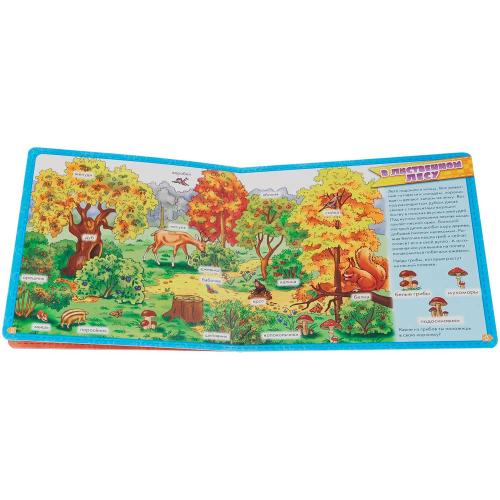 Книга Мой первый словарик В лесу Ranok А116015Р фото 2