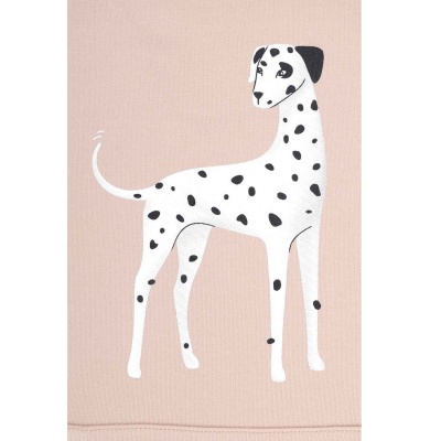 Худи демисезонное Crockid КР 301851