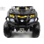 Детский электроквадроцикл 4WD RiverToys T001TT зеленый