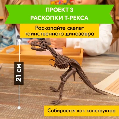 Набор проектов 6 в 1 Парк динозавров 4M 00-05540 3