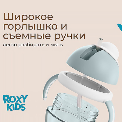 Поильник непроливайка 200 мл с трубочкой Roxy-Kids RFD-008-BI 4
