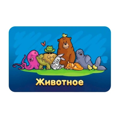 Настольная игра Соображарий Junior Hobby World 1757