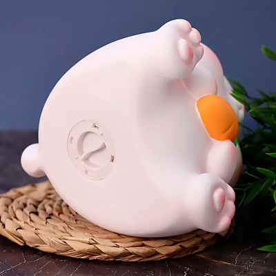 Копилка детская Rabbit with wet iLikeGift BB2496-2-01