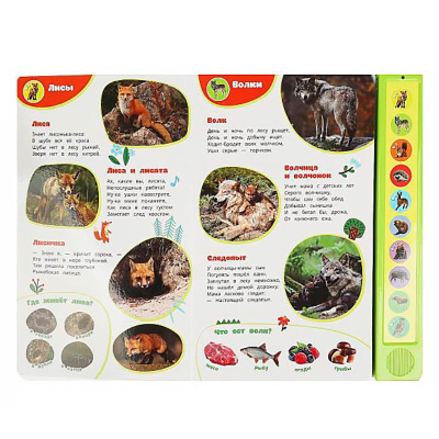 Книга интерактивная озвученная Лесные жители Умка 9785506085157 (24) 2