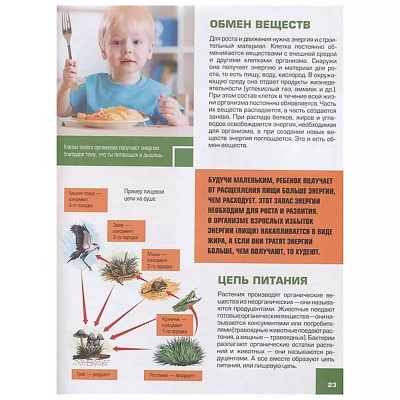 Гигантская детская 4D энциклопедия АСТ 9785171190156 3