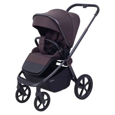 Коляска 2 в 1 Rant Flex Soft Therm RA112 Shine Brown 02