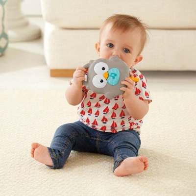 Музыкальный мобиль 3 в 1 Лесные друзья Fisher-Price CDM84