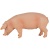 Фигурка Свинья, самец Konik AMF1029 Фигурка Свинья, самец Konik AMF1029