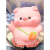 Копилка детская Pig carrot bag iLikeGift BB2274-1B