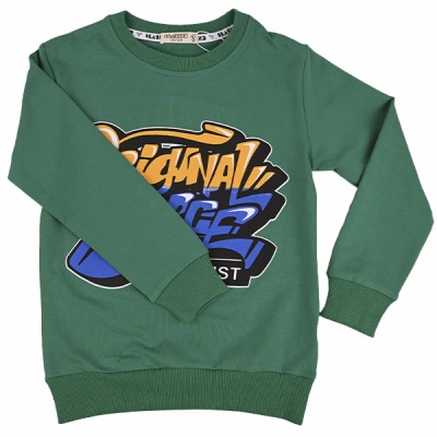 Свитшот демисезонный для мальчиков Seabird Sr 80020