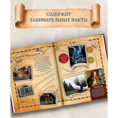 Книга Лучшие головоломки по волшебному миру Гарри Поттера АСТ 50220859