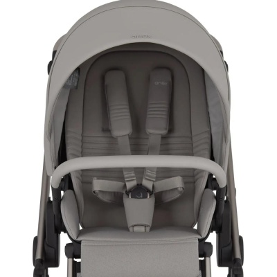 Коляска 2 в 1 Anex Eli (el-06) Santal