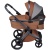 Коляска 2 в 1 Anex l/type (lt-11t) Hazel с аксессуарами