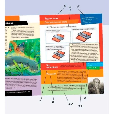 Лучшие научные эксперименты для детей Физика Химия Биология АСТ 9785171026325 5 Лучшие научные эксперименты для детей Физика Химия Биология АСТ 9785171026325 5