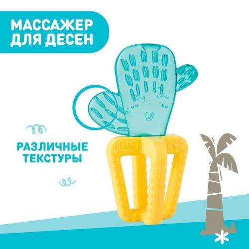 Прорезыватель Fresh Cactus Chicco 00028140300000 фото 3