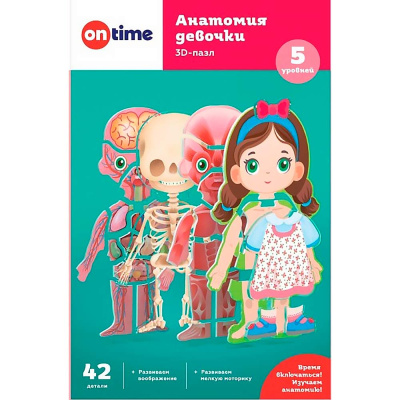 Пазлы 3D обучающие для детей Анатомия девочки On Time 45210 5