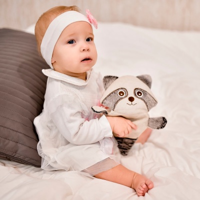 Игрушка грелка с вишневыми косточками Доктор Мякиш Енот Мякиши 351 3