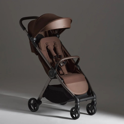 Коляска 2 в 1 Anex iQ Premium (iQ-28) Brew