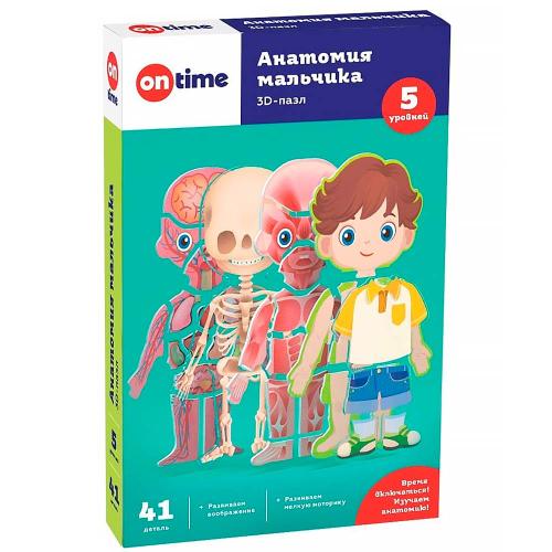 Пазлы 3D обучающие для детей Анатомия мальчика On Time 45209 фото 5