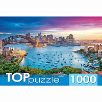 Пазлы Австралия Сидней TOPpuzzle Рыжий кот ГИТП1000-2156 