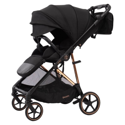 Прогулочная коляска Peppy Amici Black рама Gold (LX) 02