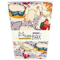 Подарочный набор MilotaBox mini Hamster Box iLikeGift MBS035