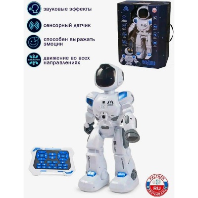 Робот радиоуправляемый Пультовод Zhorya ZYA-A3065 2
