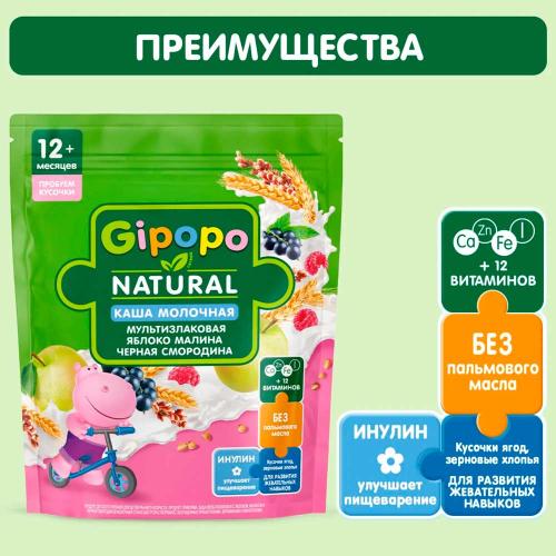 Каша Мультизлаковая молочная яблоко малина смородина 200 г с 12 месяцев Gipopo фото 2