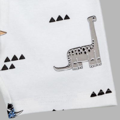 Шорты Дино Чуди Кидс 360125-2К белый 03