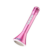 Микрофон Звезда караоке Wilton Bradley Ltd TY5899