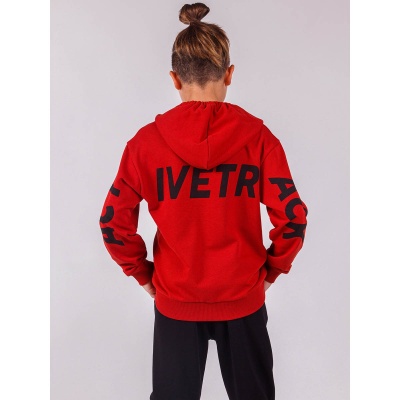 Спортивный костюм демисезонный DMB 4815/4816 2