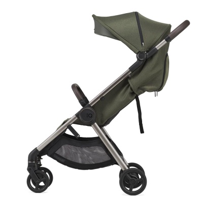 Коляска 2-в-1 Anex iQ Premium (iQ-09) Richi