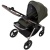 Детская коляска 2 в 1 Anex iQ Premium NT iQ-09-NT-DNA Richi