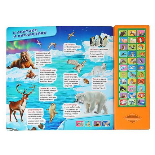 Книга интерактивная озвученная Мир вокруг нас Умка 9785506034759 фото 3