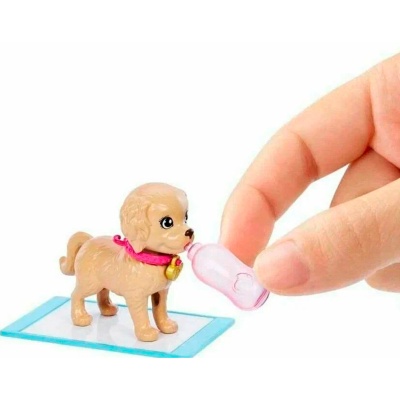 Кукла Барби и щенки 29 см Mattel HKD86
